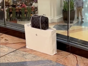 Пакет Apple и сумка Louis Vuitton остались без присмотра в торговом центре!
