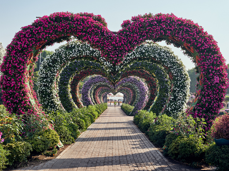 Dubai Miracle Garden закрывается на летние каникулы