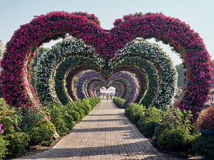 Dubai Miracle Garden закрывается на летние каникулы