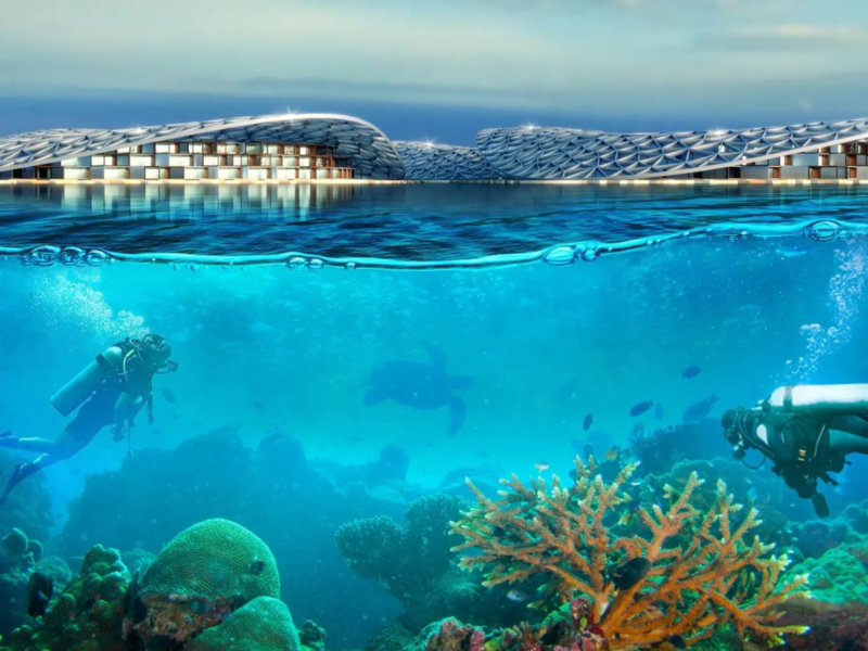 Дубайские рифы: устойчивое плавучее сообщество