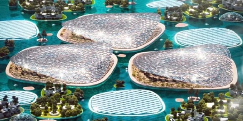 Дубайские рифы: крупнейший в мире проект по восстановлению океана