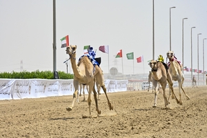 Шейх Мансур бин Заид посетил ежегодный фестиваль верблюжьих бегов Аль-Ватба