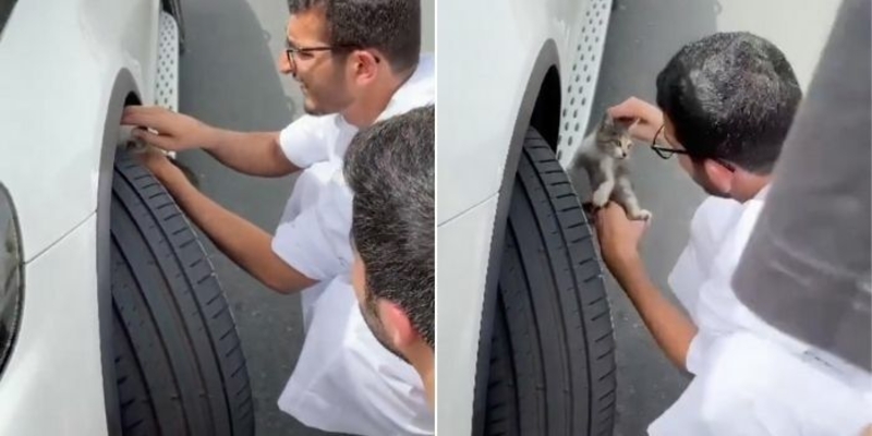 Два жителя Дубая помогли безопасно вытащить котенка из машины