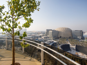 Sky-High Garden в Дубае вновь открывается с продленным графиком работы