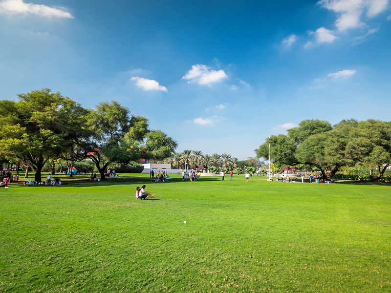 Дубай временно закрывает общественные парки из-за погодных условий