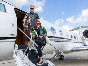 Роскошный частный самолет для домашних животных запускается из Дубая в Великобританию