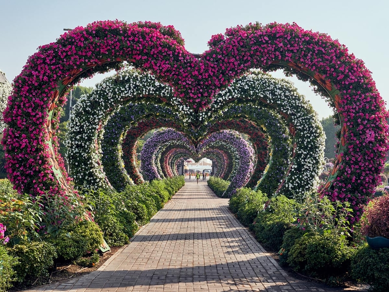 Дубайский чудесный сад вновь открывается на зимний сезон