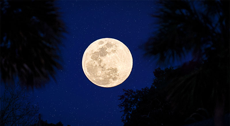 Наблюдайте частное лунное затмение в Дубае и Шардже