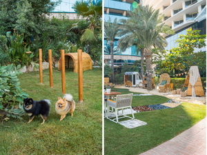 Дубайская компания Bounty Beets открывает открытое пространство для детей и домашних животных
