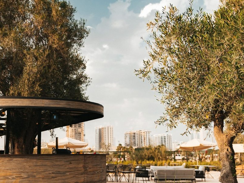FIYA: популярное место на открытом воздухе в Дубае вновь открывается