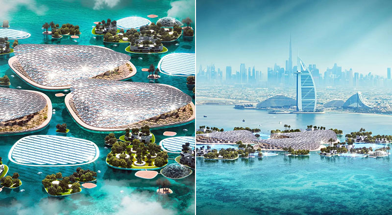 Проект «Дубайский риф»: знаковая инициатива по воссоединению Оушен-Сити