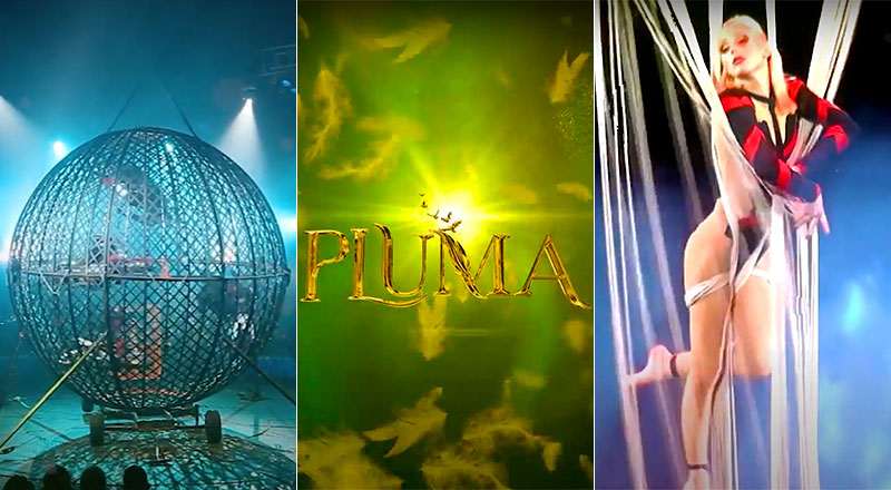Дубай приветствует Pluma, новое цирковое шоу Cirque Du Liban