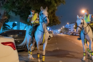 Конная полиция Дубая задержала банду угонщиков автомобилей