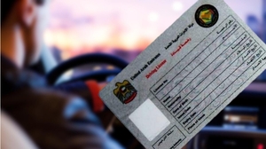 Как подать заявление на получение водительских прав онлайн