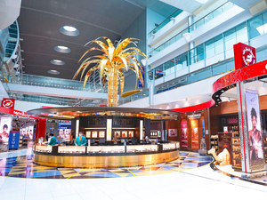 Девять интересных занятий в международном аэропорту Дубая