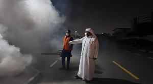 ОАЭ активизируют усилия по борьбе с нашествием комаров