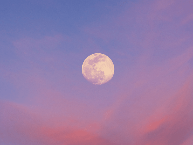 Цветочная луна осветит небо ОАЭ 22 мая
