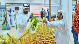 Более 50 сортов фиников представлены на фестивале Al Dhaid Date Festival в Шардже