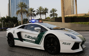 Полиция Дубая объявляет о выпуске второй коллекции NFT