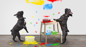 Раскройте творческие способности своего питомца на вечеринке Wild Paint Party в Дубае