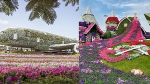 6 главных достопримечательностей Dubai Miracle Garden, которые нельзя пропустить