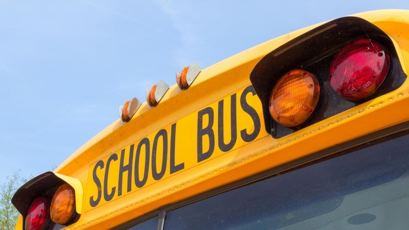 Правила Covid в ОАЭ: маски по-прежнему обязательны в школьных автобусах